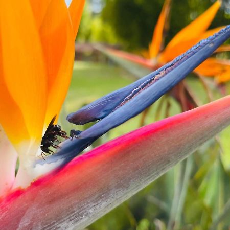 Jardin De Primavera Apartamentos 外观 照片
